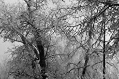 Сквер Карамзина (1960)