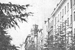 Проспект Ленина (1960)