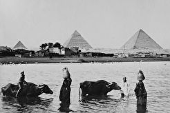 People in the pond (1880)