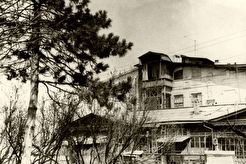 Улица Коминтерна, бывшие номера Найтаки-Щербины и дача "Оля" (1960)