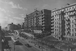 "Серая лошадь" (1960)