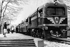 Парк Горького (1960)