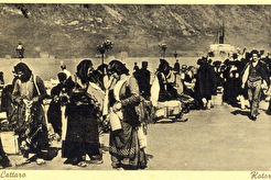 Kotor (1900)
