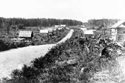 Дома поселенцев в селении Лиственничное (1890)