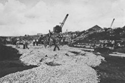 Куйбышев. Строительство стадиона «Металлург» (1957)