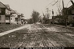 Westmont. Maple Avenue from Haddon Avenue (1900)