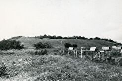 Žardės piliakalnis (1960)