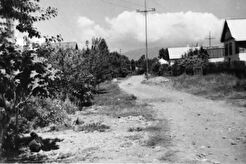 Улица Луговая (1961)