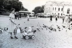 Голуби на площі (1960)