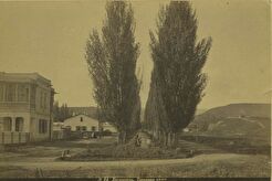 Тополевая аллея и дом полковника К.Г. Мистрова (1878)