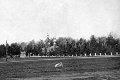 Корова смотрит на Троицкую церковь (1890)