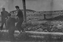 Довмонтов город (1960)