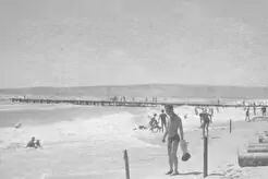 Золотой пляж (1960)