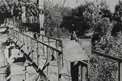 Бригитский мост (1960)