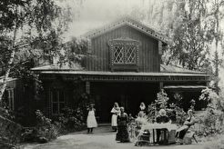 Д.А. Ровинский с близкими на даче (1880)