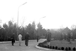 Парк перед кинотеатром Комсомолец (1960)