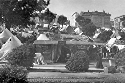 Earthquake refugee camp in park, possibly Turk St. Jefferson Square (1906)