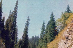 Водопад на реке Горельник (1960)