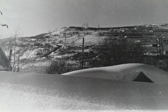Тарья (1960)