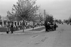 Terespol. Ulica Wojska Polskiego (1960)