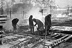 На стройке Главного павильона (1950)