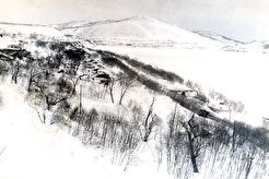 Вид на поселок (1960)