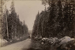 Дорога в Голгофо-Распятский скит Соловецкого монастыря (1890)