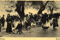 Kotor (1900)