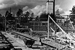 Строительства Главного павильона ВСХВ (1950)