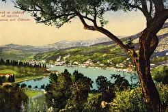 Gruž sa stablom od masline (1910)
