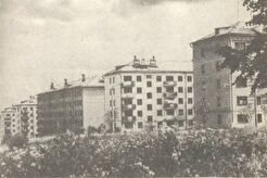 Студгородок (1971)