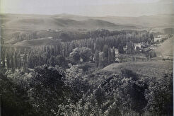 Тополевая аллея с Крестовой горы (1880)