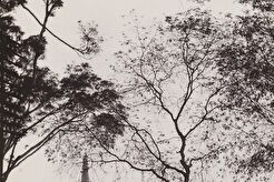 Batavia. Rooms-katholieke kerk (1901)