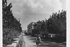 Проспект Ленина (1960)