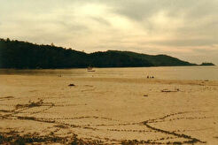 Patong Beach on Christmas Day '81 (1981)