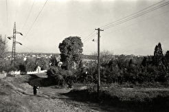 Вид на улицу Черемшины (1960)