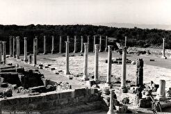 Famagusta. Ruins of Salamis (1950)