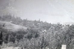 Ялта. Вдалеке институт Пирогова (1960)