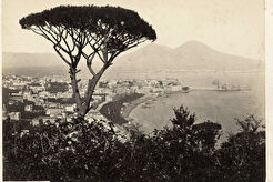 Panorama dal Vomero (1863)