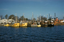 Gdynia. Port (1960)