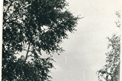 Фотография "Запсиб. Вид с горы Маяковой" (1960)