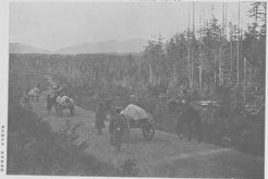 Обоз на дороге через Мицулёвку (1905)