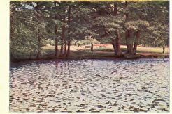 Тишина и покой царят в зелёном парке (1962)