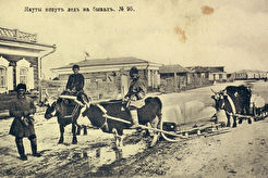 Якуты везут лед на быках (1880)