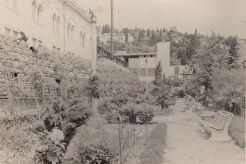 Рыбокомбинат (1960)