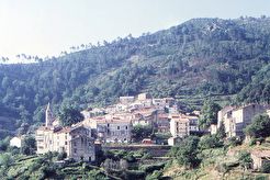 Vivario (1981)