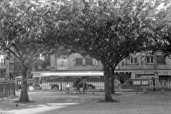 Place de la Calende (1989)