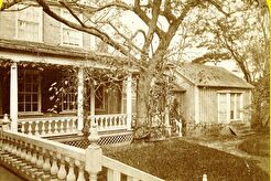 Cambridge. Longfellow House: North Ell and Billard Room (1858)