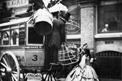 Omnibus (1854)