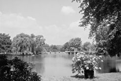 Lake and bridge in Public Gardens (1900)